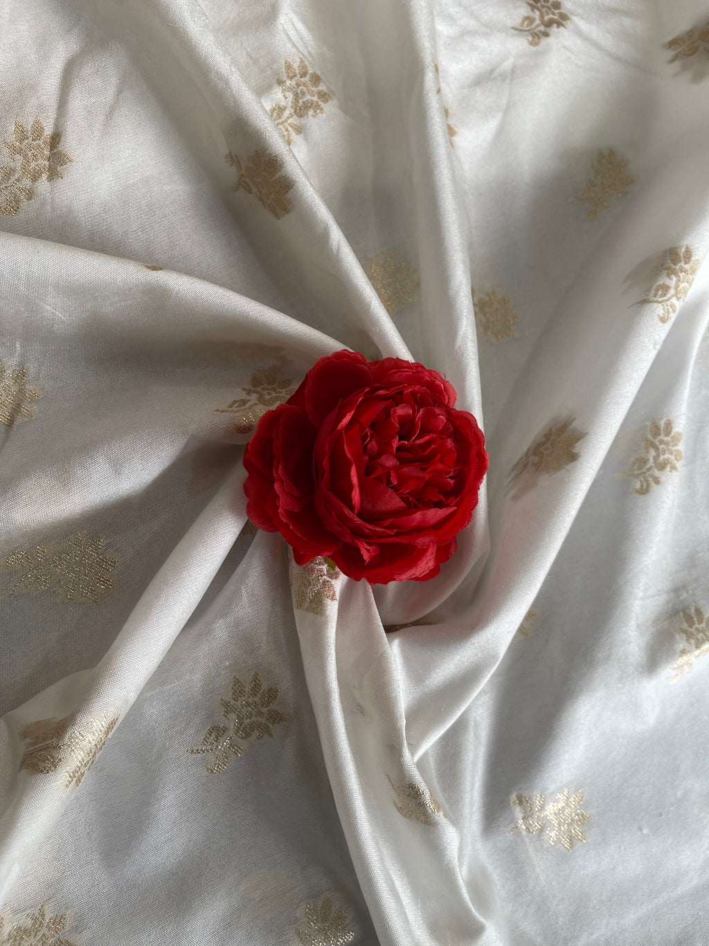 Dola With Heavy Golden Boarder